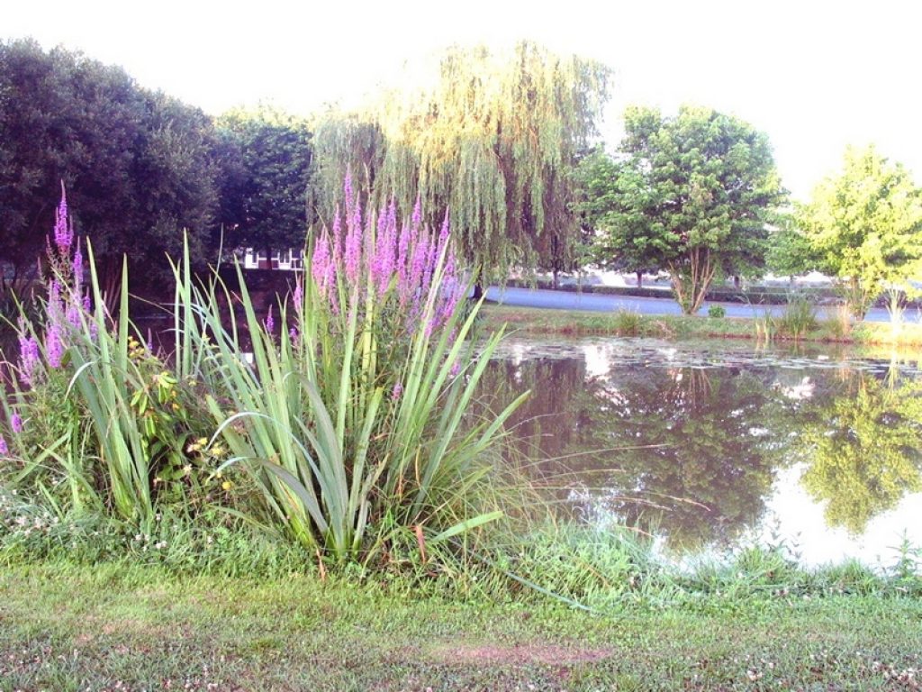 03_2018_accueil_theatre_verdure