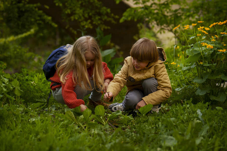 En savoir plus sur Mes premiers ateliers : Club nature