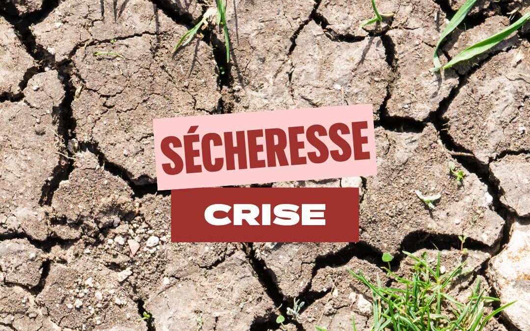 Mesures en cours contre la sécheresse